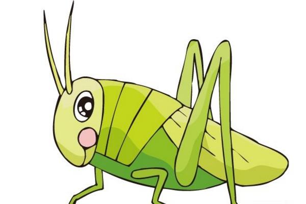 夢見蝗蟲是什么意思 夢到很多蝗蟲滿天飛有什么預兆