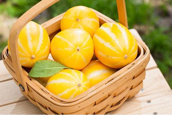 夢見甜瓜是什么意思 女人夢到自己吃甜瓜有什么預兆