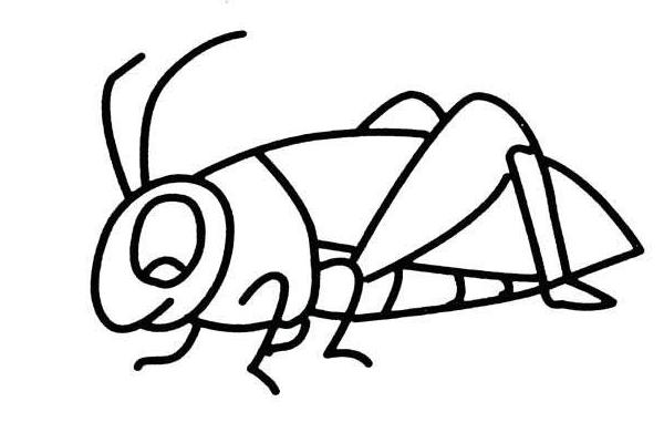 夢(mèng)見(jiàn)蝗蟲(chóng)是什么意思 夢(mèng)到很多蝗蟲(chóng)滿天飛有什么預(yù)兆