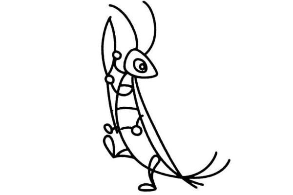 夢(mèng)見(jiàn)蝗蟲(chóng)是什么意思 夢(mèng)到很多蝗蟲(chóng)滿天飛有什么預(yù)兆