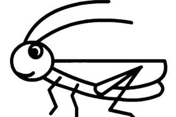 夢(mèng)見(jiàn)蝗蟲(chóng)是什么意思 夢(mèng)到很多蝗蟲(chóng)滿天飛有什么預(yù)兆