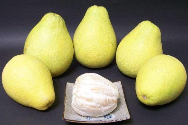 夢見柚子是什么意思 女人夢到樹上掛著很多柚子有什么預兆