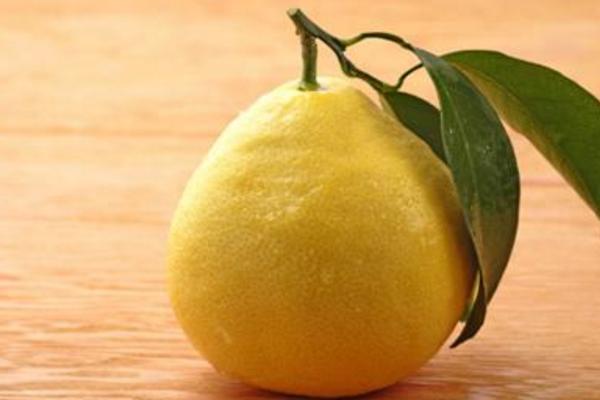 夢見柚子是什么意思 女人夢到樹上掛著很多柚子有什么預兆