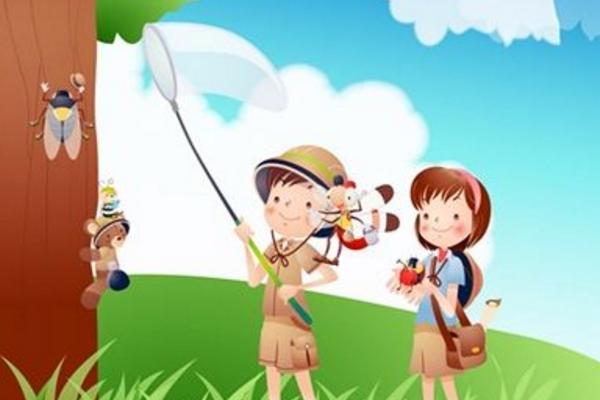 夢見知了是什么意思 孕婦夢到知了有什么預兆