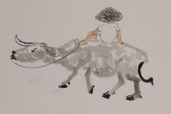 夢見水牛是什么意思 夢到一群大水牛在一起有什么預兆