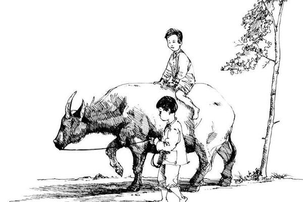 夢見水牛是什么意思 夢到一群大水牛在一起有什么預兆