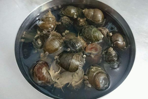 夢見撿田螺是什么意思 女人夢到很多田螺有什么預兆