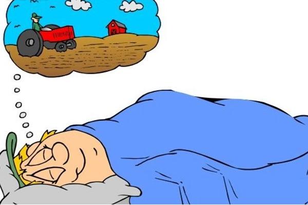 夢見撿田螺是什么意思 女人夢到很多田螺有什么預兆