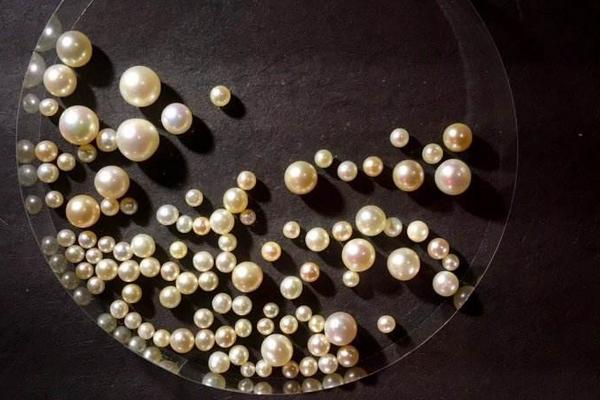 夢見珍珠是什么意思 夢到別人送自己很多珍珠有什么預兆