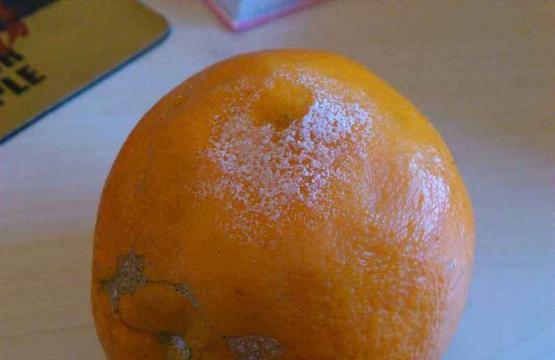 夢見橙子是什么意思 孕婦夢到吃橙子有什么預兆