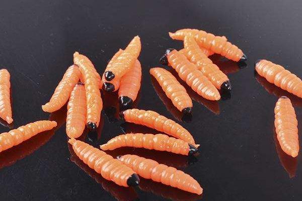 夢見蛆蟲是什么意思 女人夢到滿地都是蛆蟲有什么預兆