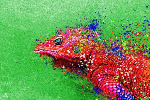 夢見變色龍是什么意思 孕婦夢到變色龍有什么預兆