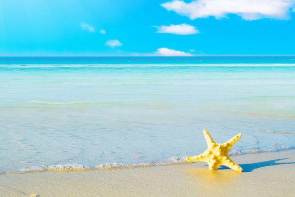 夢見沙灘和大海是什么意思 夢到粉色的沙灘有什么預兆