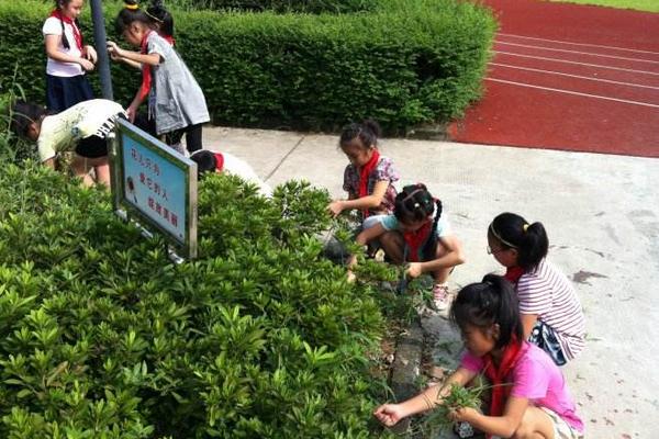 夢見拔草是什么意思 女人夢到和別人在稻田里拔草有什么預兆