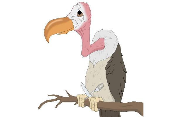 夢見禿鷲是什么意思 夢到自己被禿鷲追有什么預(yù)兆