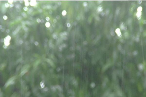 夢見下雨是什么意思 女人夢到下雨打雷閃電有什么預兆