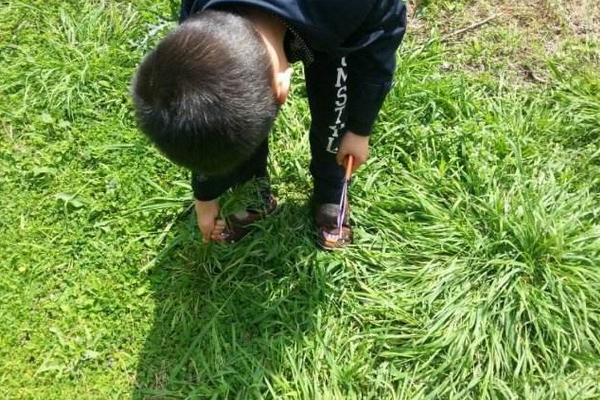 夢見拔草是什么意思 女人夢到和別人在稻田里拔草有什么預兆