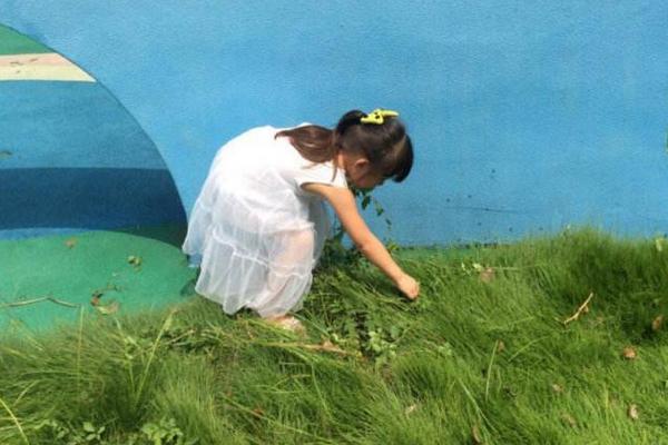 夢見拔草是什么意思 女人夢到和別人在稻田里拔草有什么預兆