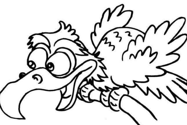 夢(mèng)見(jiàn)禿鷲是什么意思 夢(mèng)到自己被禿鷲追有什么預(yù)兆