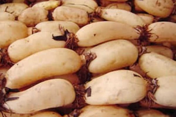 夢見藕是什么意思 女人夢到吃蓮藕有什么預兆