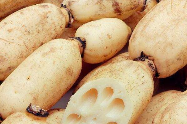 夢見藕是什么意思 女人夢到吃蓮藕有什么預兆