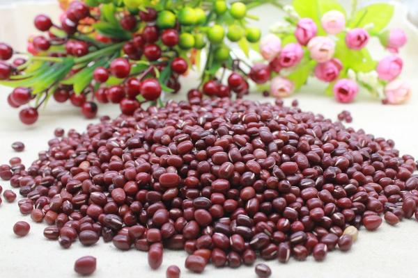 海紅豆和相思子的區別是什么 海紅豆和相思子的形態特征分別是什么