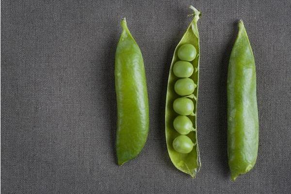 夢見扁豆是什么意思 女人夢到摘扁豆有什么預兆