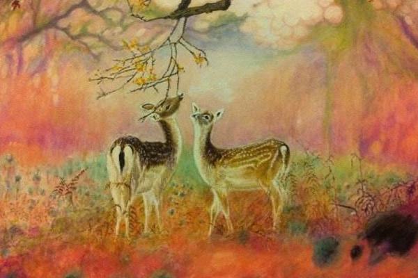 夢見鹿是什么意思 女人夢到鹿向自己跑來有什么預兆