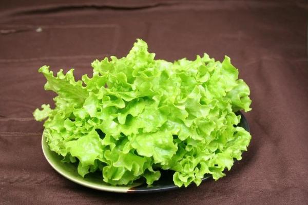 夢見生菜是什么意思 女人夢到吃生菜有什么預兆