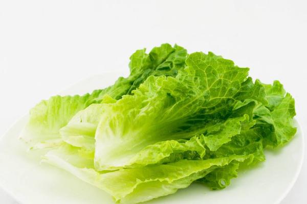 夢見生菜是什么意思 女人夢到吃生菜有什么預兆