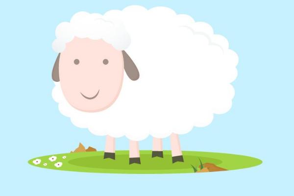 夢見綿羊是什么意思 女人夢到很多綿羊追自己有什么預兆