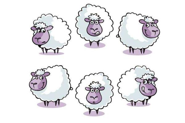 夢見綿羊是什么意思 女人夢到很多綿羊追自己有什么預兆