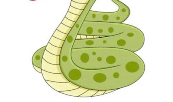 夢見殺蛇是什么意思 夢到自己殺蛇砍掉蛇頭有什么預兆