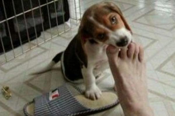 夢見腳上長水泡是什么意思 夢到腳上長瘡有什么預兆