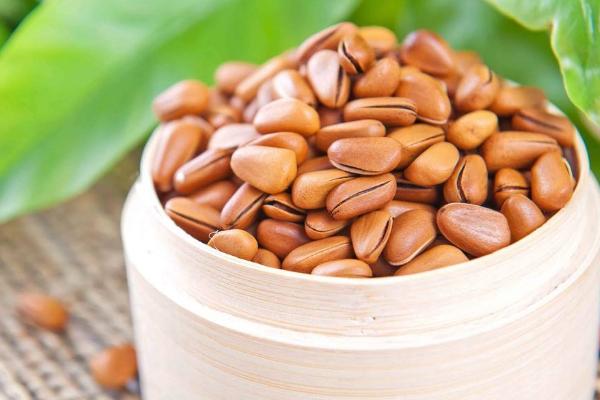 夢見松子是什么意思 孕婦夢到自己吃松子有什么預兆