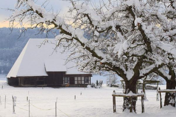 夢見下雪是什么意思 夢到下雪白茫茫一片有什么預兆