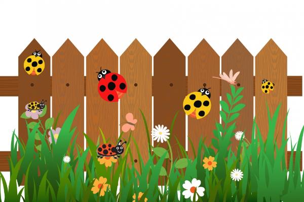 夢見昆蟲是什么意思 孕婦夢到很多昆蟲有什么預兆