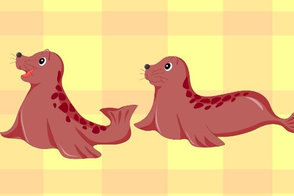 夢見海豹是什么意思 孕婦夢到海豹有什么預兆