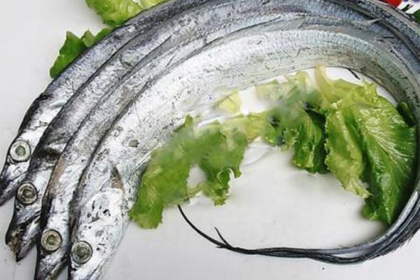 夢見帶魚是什么意思 孕婦夢到吃帶魚有什么預兆