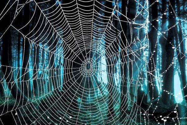 夢見蜘蛛網是什么意思 女人夢到自己被蜘蛛網纏住有什么預兆