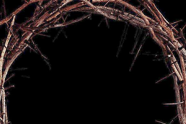 夢見荊棘是什么意思 夢到荊棘擋路了但過去了有什么預兆