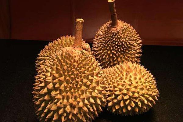 榴蓮能放多久 榴蓮肉怎么保存