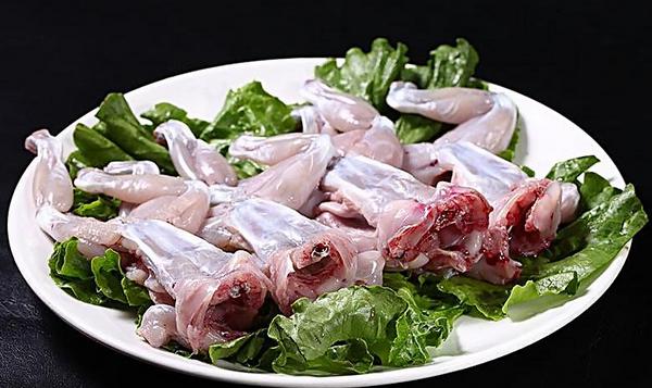 田雞是什么 田雞能吃嗎 田雞市場(chǎng)價(jià)格多少錢一斤