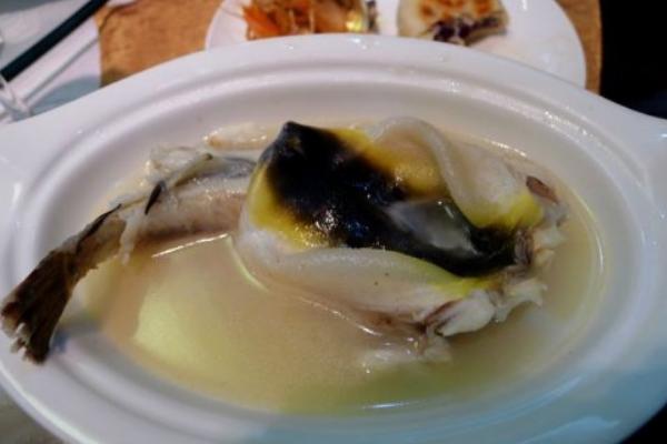 刺豚、河豚、海豚、江豚的區別分別是什么 河豚有毒嗎