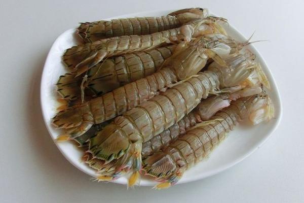 皮皮蝦市場價格多少錢一斤 吃皮皮蝦哪部位不能吃