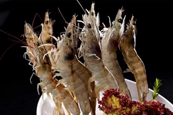 鮮蝦怎么保存 新鮮蝦怎么做好吃