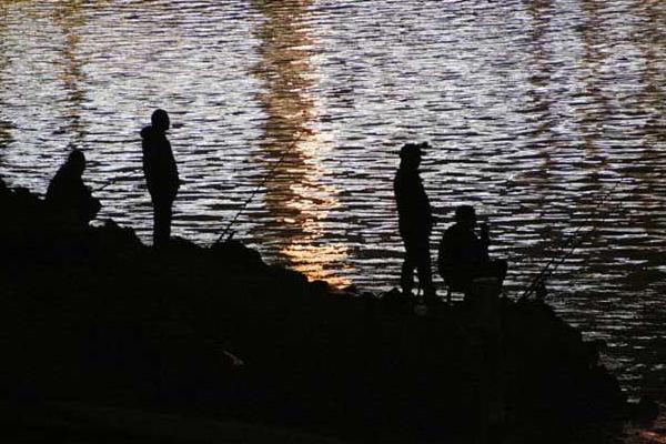 晚上釣草魚的最佳時間 草魚生活的水深是多少
