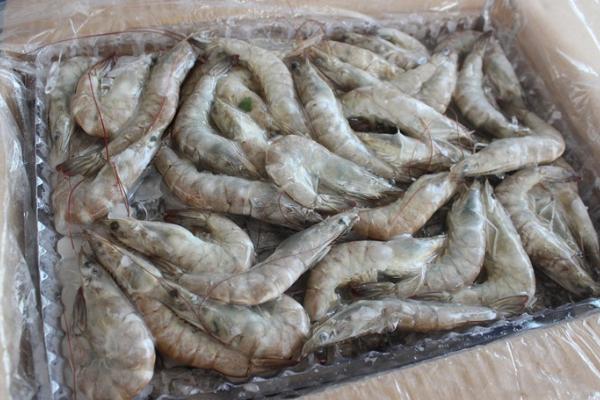 青蝦市場(chǎng)價(jià)格多少錢(qián)一斤 青蝦仁的做法