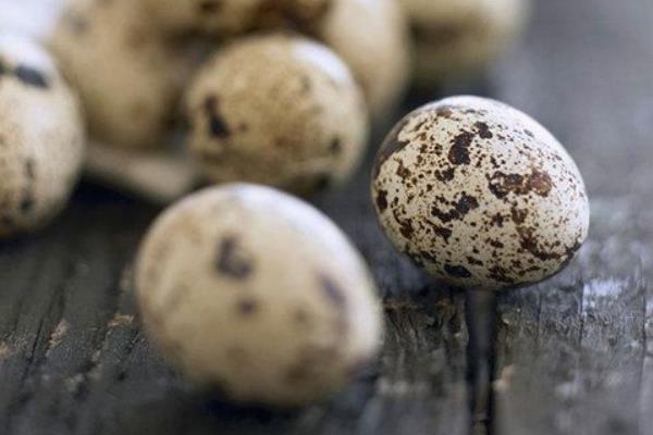 鵪鶉蛋有假的嗎 鵪鶉蛋有激素嗎 如何挑選鵪鶉蛋