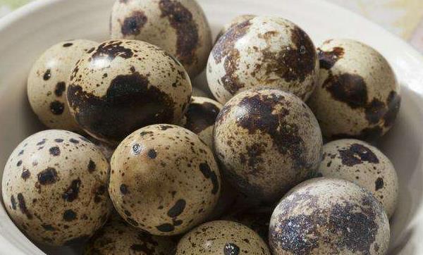 鵪鶉蛋一斤大約多少個 鵪鶉蛋熱量有多少